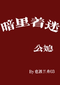 暗里着迷成奎安完整版